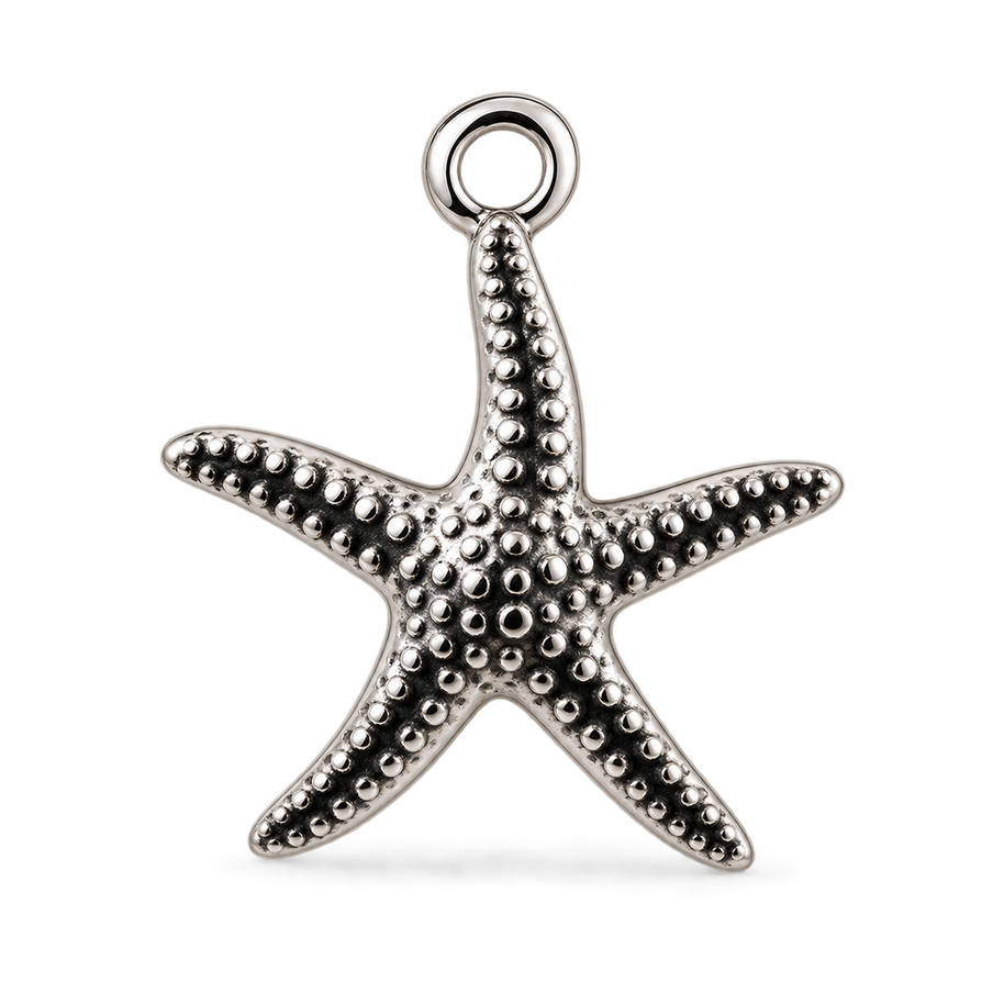 Ocean Starfish