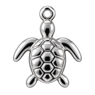 Sea Turtle