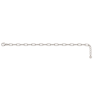 Textured Paperlink Charm Anklet 3 Charm