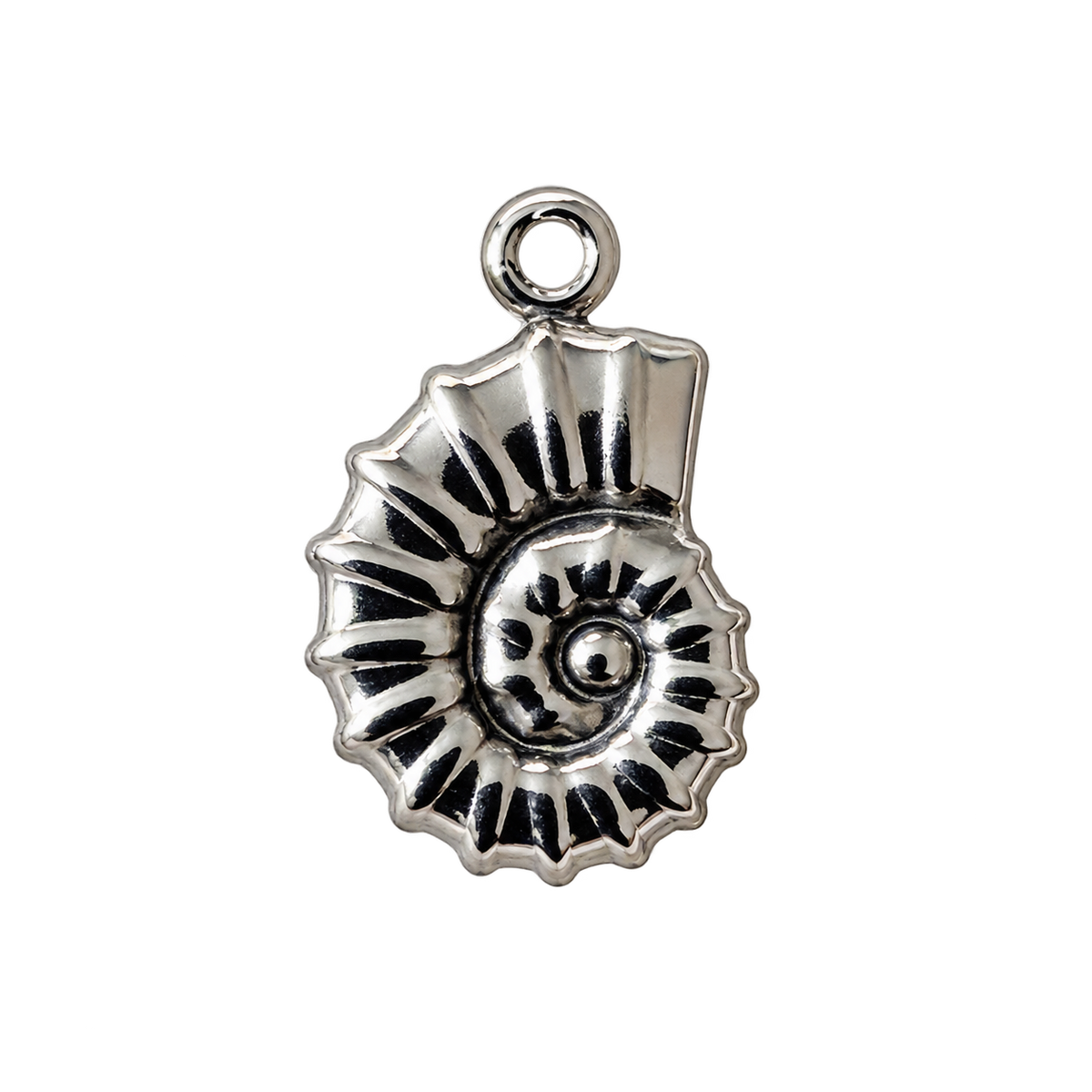 Ammonite Shell