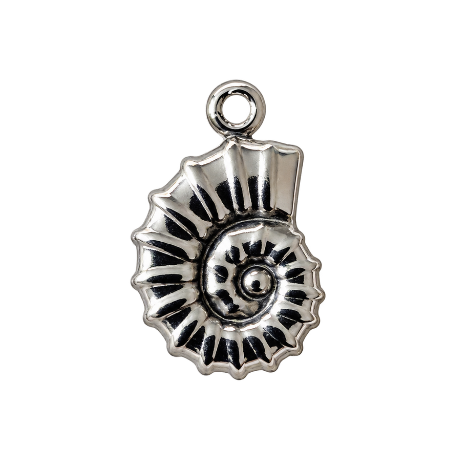 Ammonite Shell