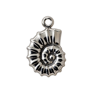 Ammonite Shell