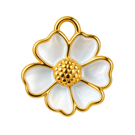 Pearl Daisy