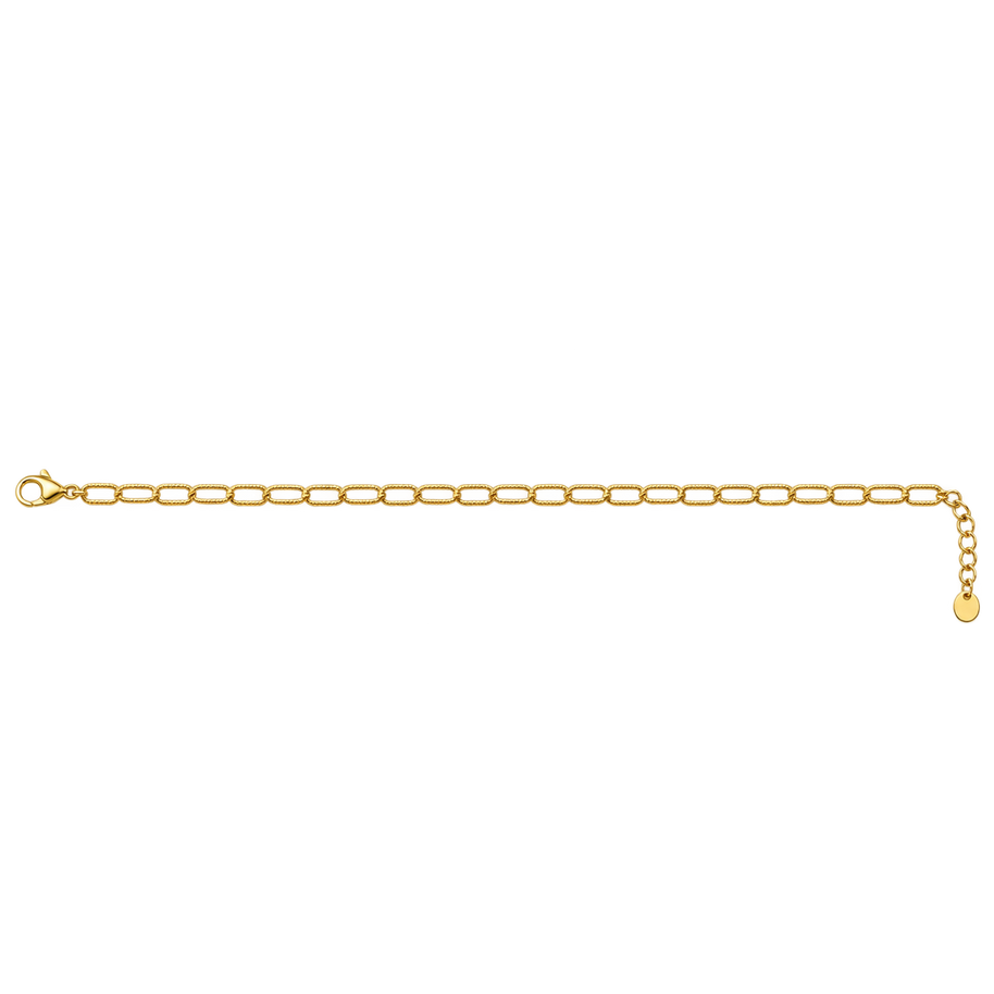 Textured Paperlink Charm Anklet 3 Charm