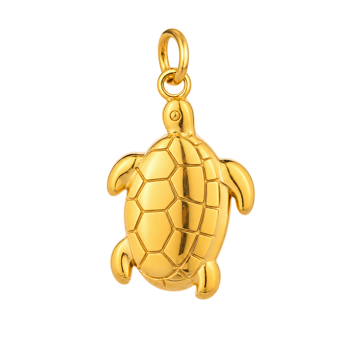 Turtle Treasure