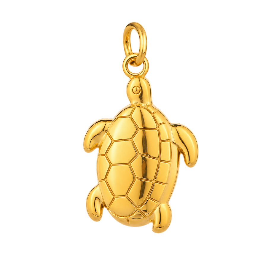Turtle Treasure