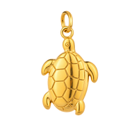 Turtle Treasure