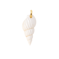 Pearl Cove