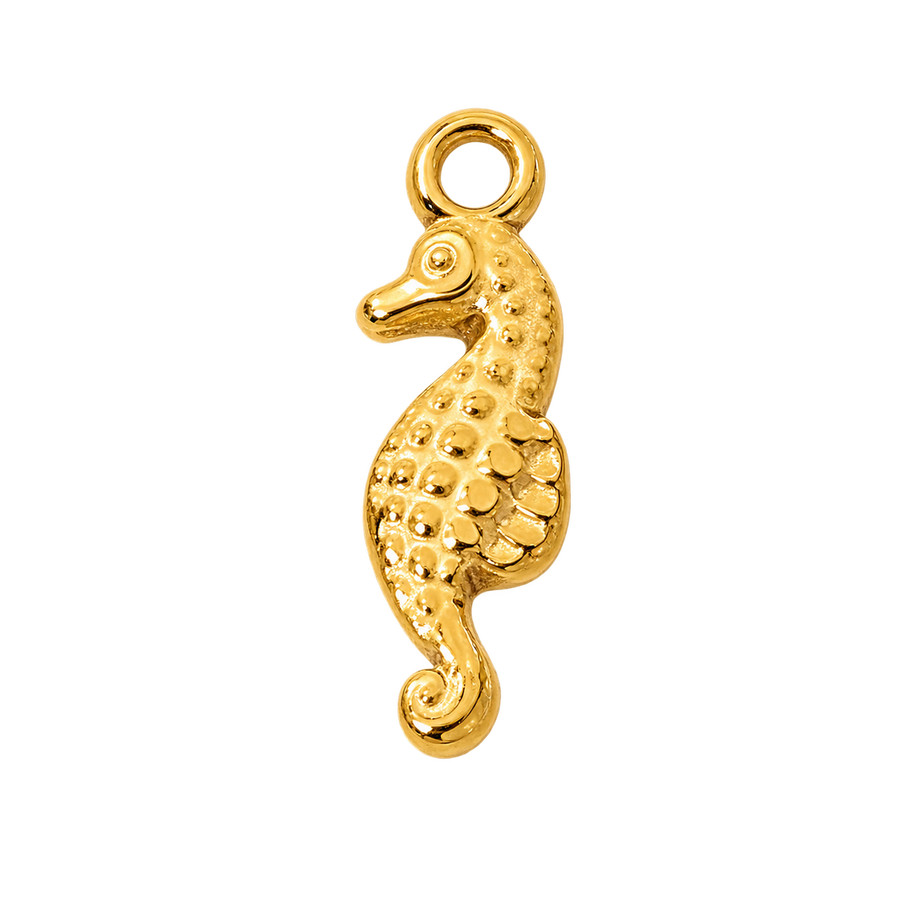 Seahorse Treasure