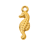 Seahorse Treasure