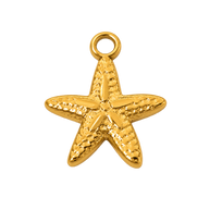 Golden Tide Starfish