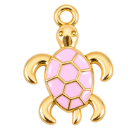 Pink Turtle