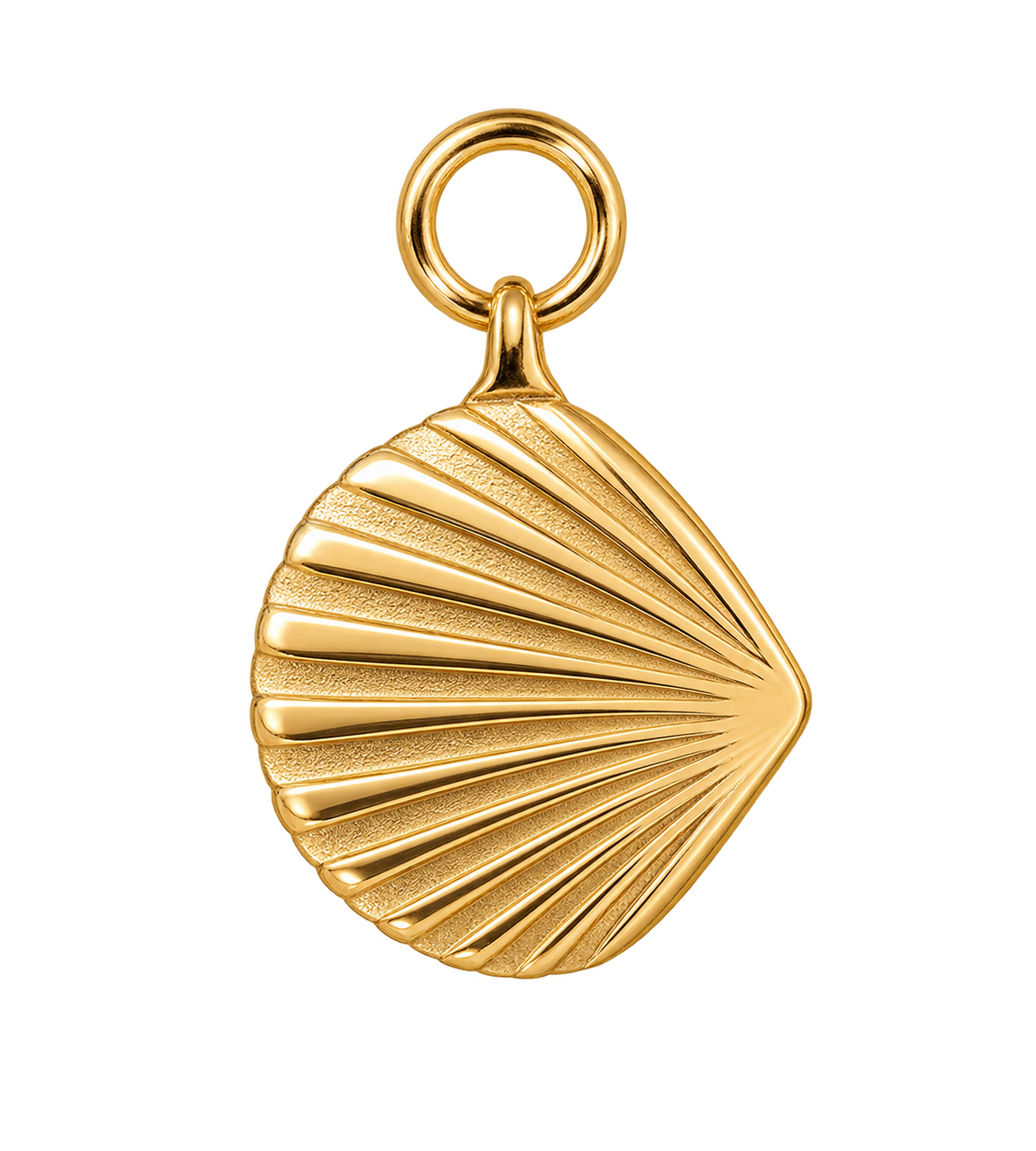 Scallop Belle