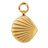 Scallop Belle