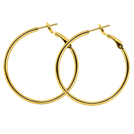 Gold Hoop Earrings (1 charm, 2 set)