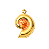 Sol Shell
